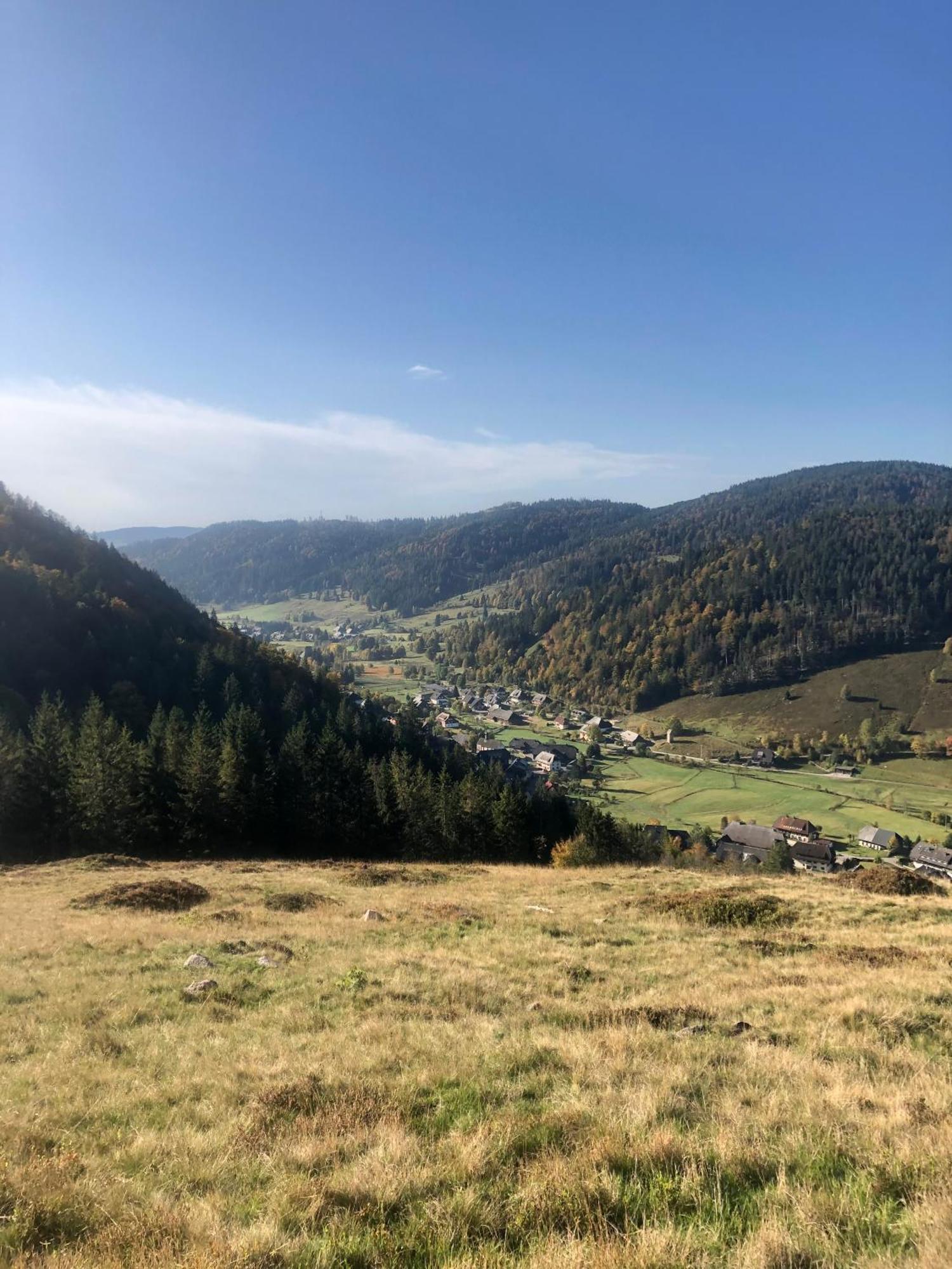 Forest Apartment-Mountain Escape Menzenschwand St. Blasien Exterior foto